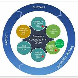 Disaster Recovery Planning Framework showing six interconnected phases: 1) Disaster Planning, 2) Business Impact Analysis, 3) Business Continuity Management, 4) Business Continuity Plan, 5) Recovery Time Objectives, and 6) Deployment around a central Crisis Management & Business Continuity hub